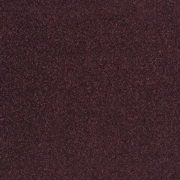 Allegro Dark Purple