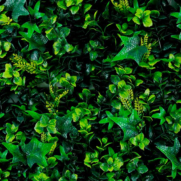 Green walls Rainforest