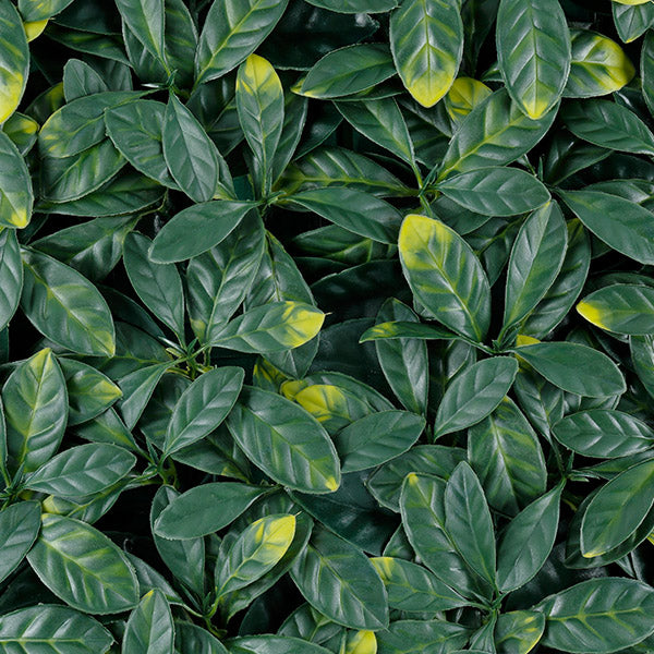 Green walls Laurel