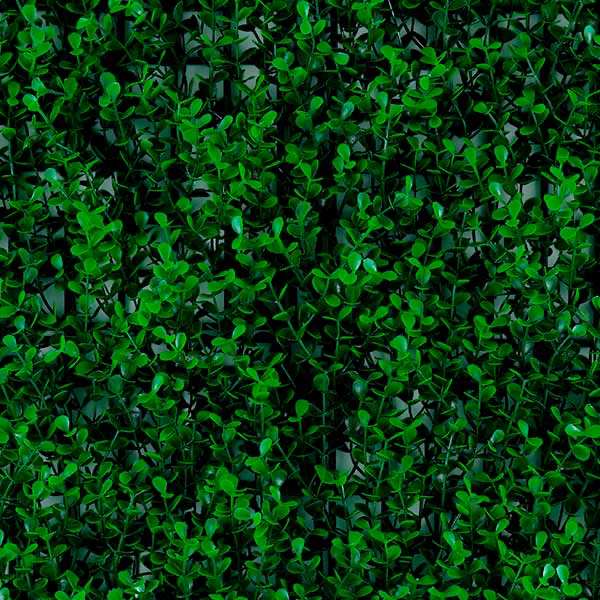 Green walls Spring boxus