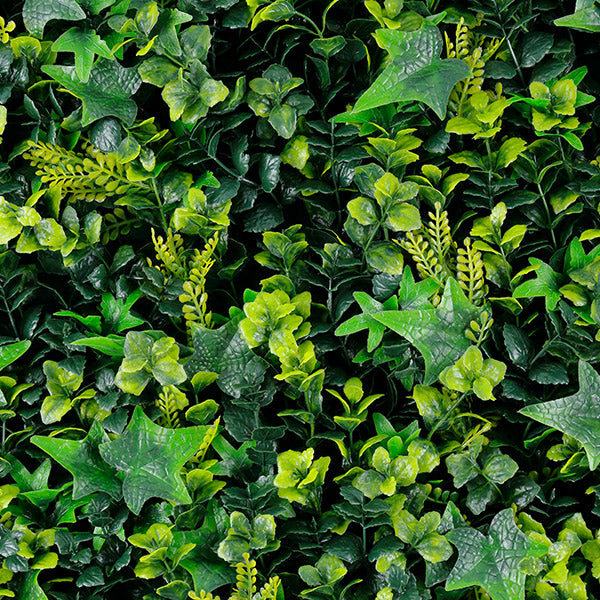 Green walls Rainforest