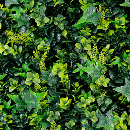 Green walls Rainforest