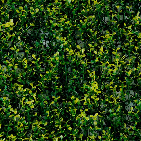 Green walls Yellow boxus